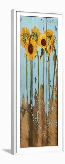 Sunflowers on Wood II-Sandra Iafrate-Framed Art Print