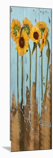 Sunflowers on Wood II-Sandra Iafrate-Mounted Art Print