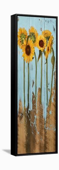 Sunflowers on Wood II-Sandra Iafrate-Framed Stretched Canvas