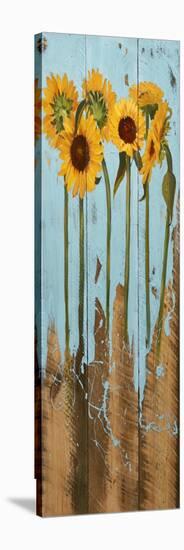 Sunflowers on Wood II-Sandra Iafrate-Stretched Canvas