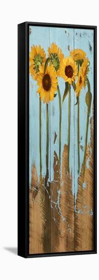 Sunflowers on Wood II-Sandra Iafrate-Framed Stretched Canvas