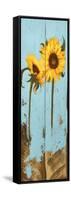 Sunflowers on Wood III-Sandra Iafrate-Framed Stretched Canvas