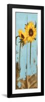 Sunflowers on Wood III-Sandra Iafrate-Framed Art Print