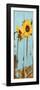 Sunflowers on Wood III-Sandra Iafrate-Framed Art Print