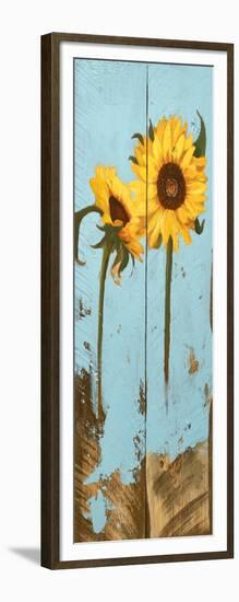 Sunflowers on Wood III-Sandra Iafrate-Framed Art Print