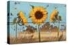 Sunflowers on Wood IV-Sandra Iafrate-Stretched Canvas