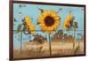 Sunflowers on Wood IV-Sandra Iafrate-Framed Art Print