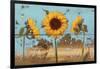 Sunflowers on Wood IV-Sandra Iafrate-Framed Art Print