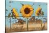 Sunflowers on Wood IV-Sandra Iafrate-Stretched Canvas