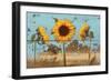 Sunflowers on Wood IV-Sandra Iafrate-Framed Premium Giclee Print