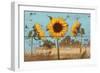 Sunflowers on Wood IV-Sandra Iafrate-Framed Premium Giclee Print