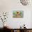 Sunflowers on Wood IV-Sandra Iafrate-Art Print displayed on a wall