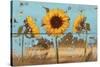 Sunflowers on Wood IV-Sandra Iafrate-Stretched Canvas