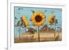 Sunflowers on Wood IV-Sandra Iafrate-Framed Art Print