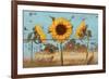 Sunflowers on Wood IV-Sandra Iafrate-Framed Art Print