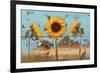 Sunflowers on Wood IV-Sandra Iafrate-Framed Art Print