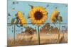 Sunflowers on Wood IV-Sandra Iafrate-Mounted Art Print