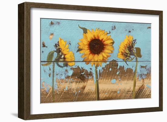 Sunflowers on Wood IV-Sandra Iafrate-Framed Art Print