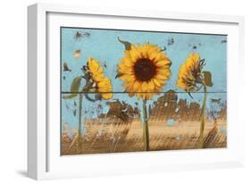 Sunflowers on Wood IV-Sandra Iafrate-Framed Art Print