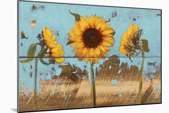 Sunflowers on Wood IV-Sandra Iafrate-Mounted Art Print