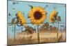 Sunflowers on Wood IV-Sandra Iafrate-Mounted Art Print