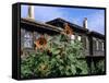 Sunflowers Outside Typical Wooden Houses, Nesebur (Nessebar), Black Sea Coast, Bulgaria, Europe-Stuart Black-Framed Stretched Canvas