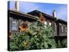 Sunflowers Outside Typical Wooden Houses, Nesebur (Nessebar), Black Sea Coast, Bulgaria, Europe-Stuart Black-Stretched Canvas