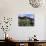 Sunflowers Outside Typical Wooden Houses, Nesebur (Nessebar), Black Sea Coast, Bulgaria, Europe-Stuart Black-Photographic Print displayed on a wall