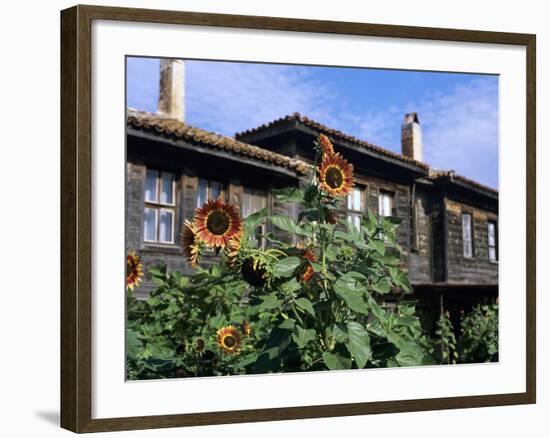 Sunflowers Outside Typical Wooden Houses, Nesebur (Nessebar), Black Sea Coast, Bulgaria, Europe-Stuart Black-Framed Photographic Print