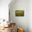 Sunflowers, Provence, France, Europe-Angelo Cavalli-Framed Stretched Canvas displayed on a wall