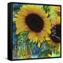 Sunflowers Rain or Shine-Asmaa’ Murad-Framed Stretched Canvas