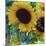 Sunflowers Rain or Shine-Asmaa’ Murad-Mounted Giclee Print