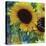 Sunflowers Rain or Shine-Asmaa’ Murad-Stretched Canvas