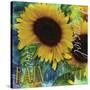 Sunflowers Rain or Shine-Asmaa’ Murad-Stretched Canvas