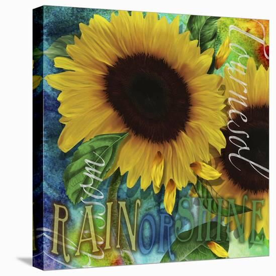 Sunflowers Rain or Shine-Asmaa’ Murad-Stretched Canvas