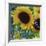 Sunflowers Rain or Shine-Asmaa’ Murad-Framed Giclee Print