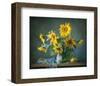 Sunflowers & Shawl Still Life-null-Framed Premium Giclee Print