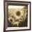 Sunflowers, Spain-Theo Westenberger-Framed Photographic Print