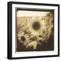 Sunflowers, Spain-Theo Westenberger-Framed Photographic Print