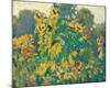 Sunflowers, Thornhill-J^ E^ H^ MacDonald-Mounted Premium Giclee Print