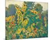 Sunflowers, Thornhill-J^ E^ H^ MacDonald-Mounted Premium Giclee Print