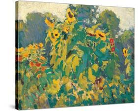 Sunflowers, Thornhill-J^ E^ H^ MacDonald-Stretched Canvas