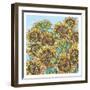 Sunflowers Upclose-Lisa Katharina-Framed Giclee Print