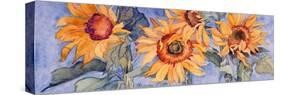 Sunflowers VI-Sharon Pitts-Stretched Canvas