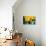 Sunflowers With Paint Effect-null-Photo displayed on a wall