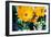 Sunflowers With Paint Effect-null-Framed Photo