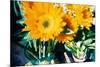 Sunflowers With Paint Effect-null-Mounted Photo