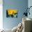 Sunflowers With Paint Effect-null-Photo displayed on a wall