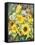 Sunflowers with Wild Flowers-Joanne Porter-Framed Stretched Canvas