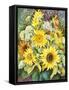 Sunflowers with Wild Flowers-Joanne Porter-Framed Stretched Canvas